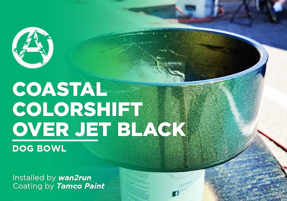 COASTAL COLORSHIFT OVER JET BLACK | TAMCO PAINT | DOG BOWL - Alpha Pigments