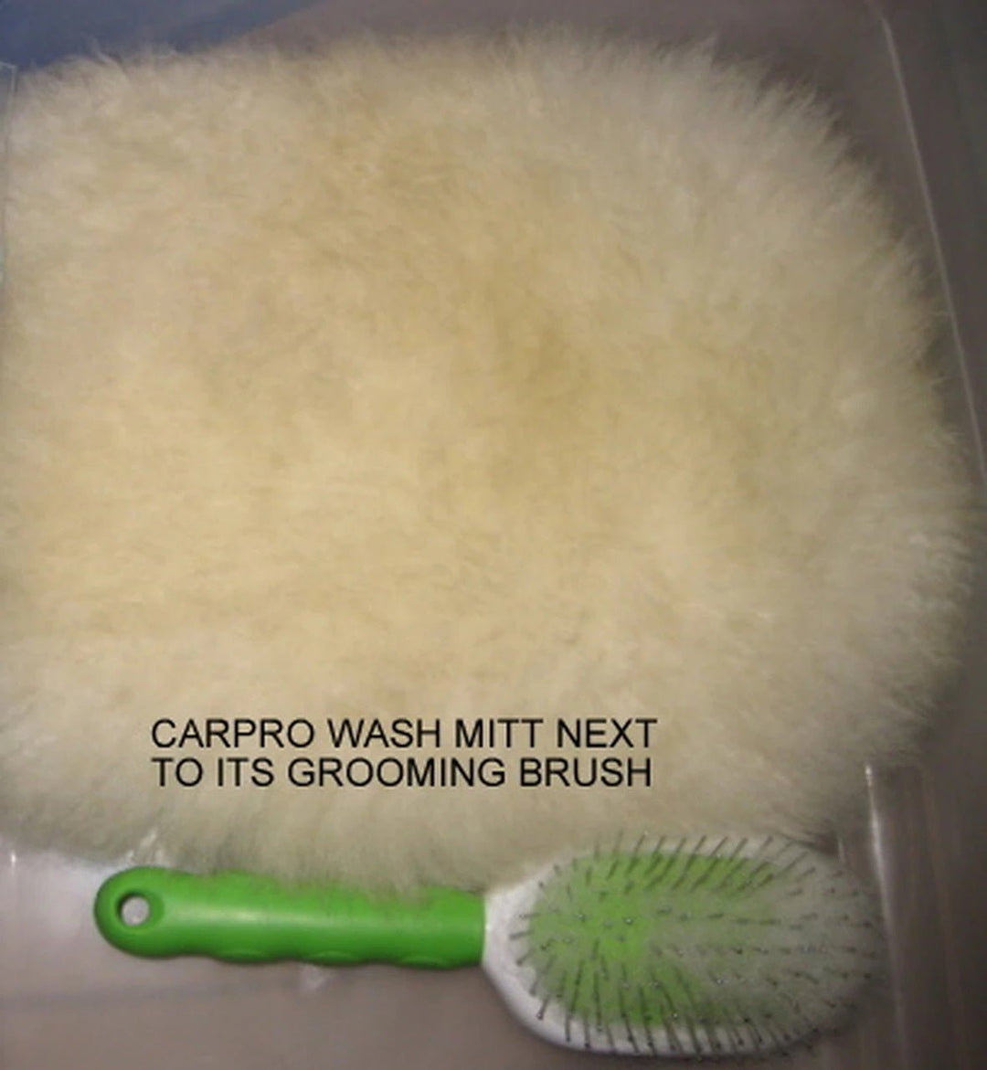 CarPro Merino Wool Wash Mitt - Alpha Pigments